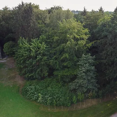 Wendigo * Szczecinek